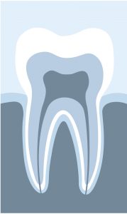 tooth structure 